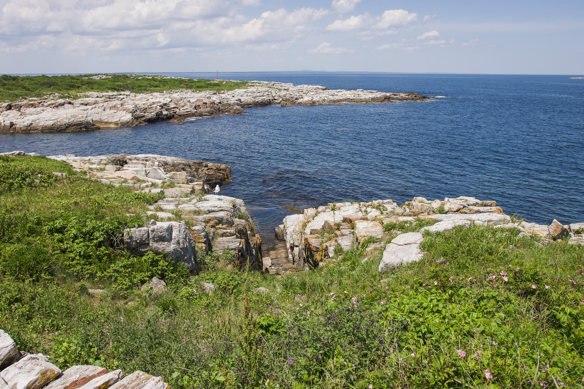 A view from a high point on Appledore Island, with rocky coast in the foreground and the ocean in the background. 