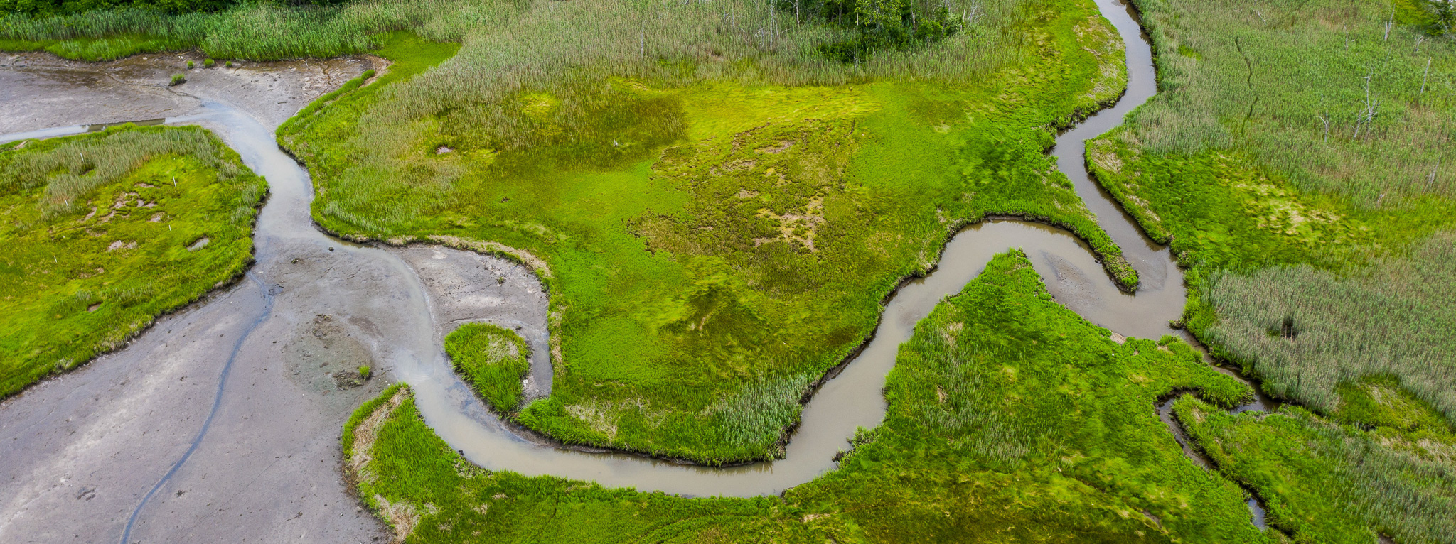 An aerial photo of a marsh.