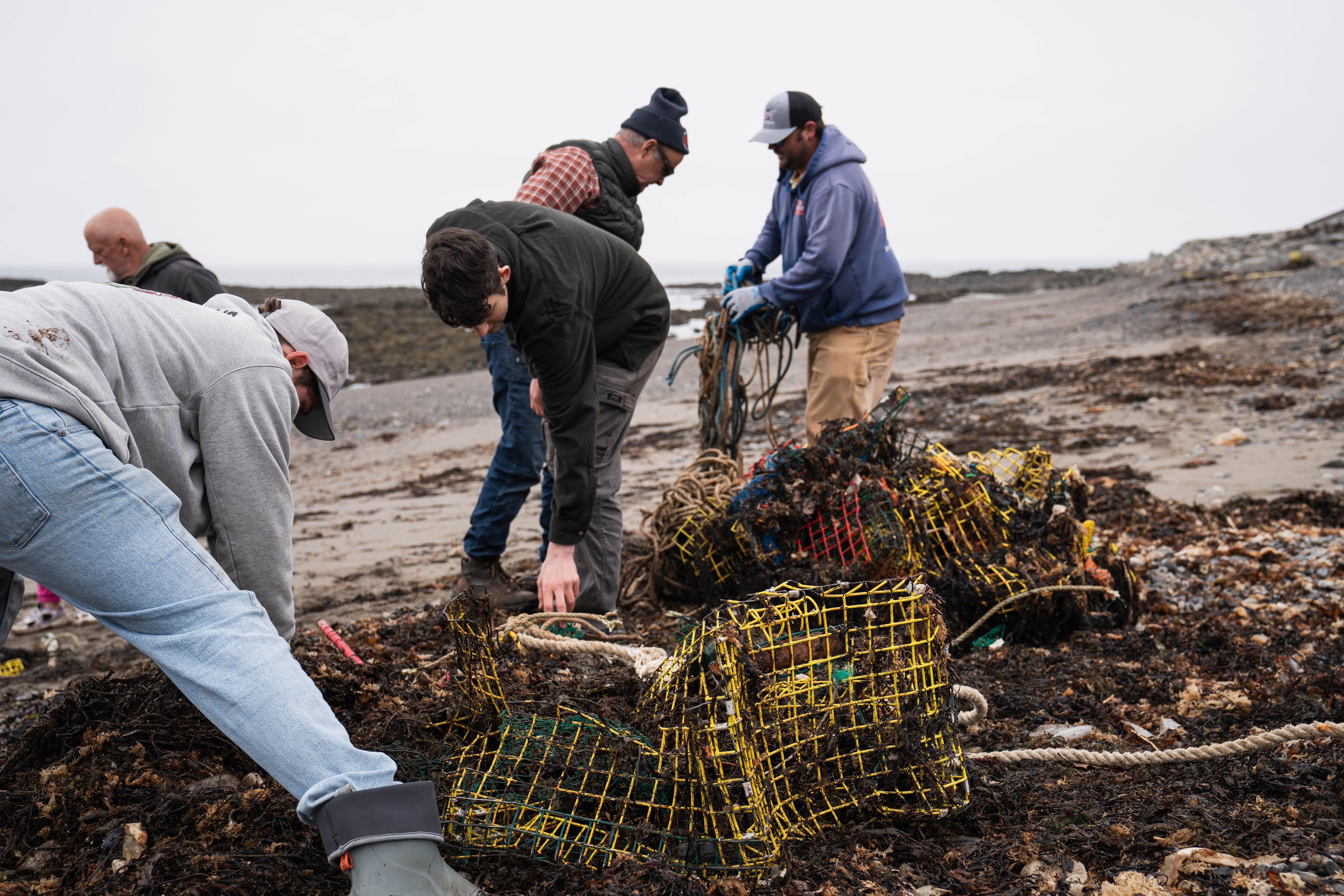 A group of fishermen cleaning derelict lobster traps from a rocky shoreline.