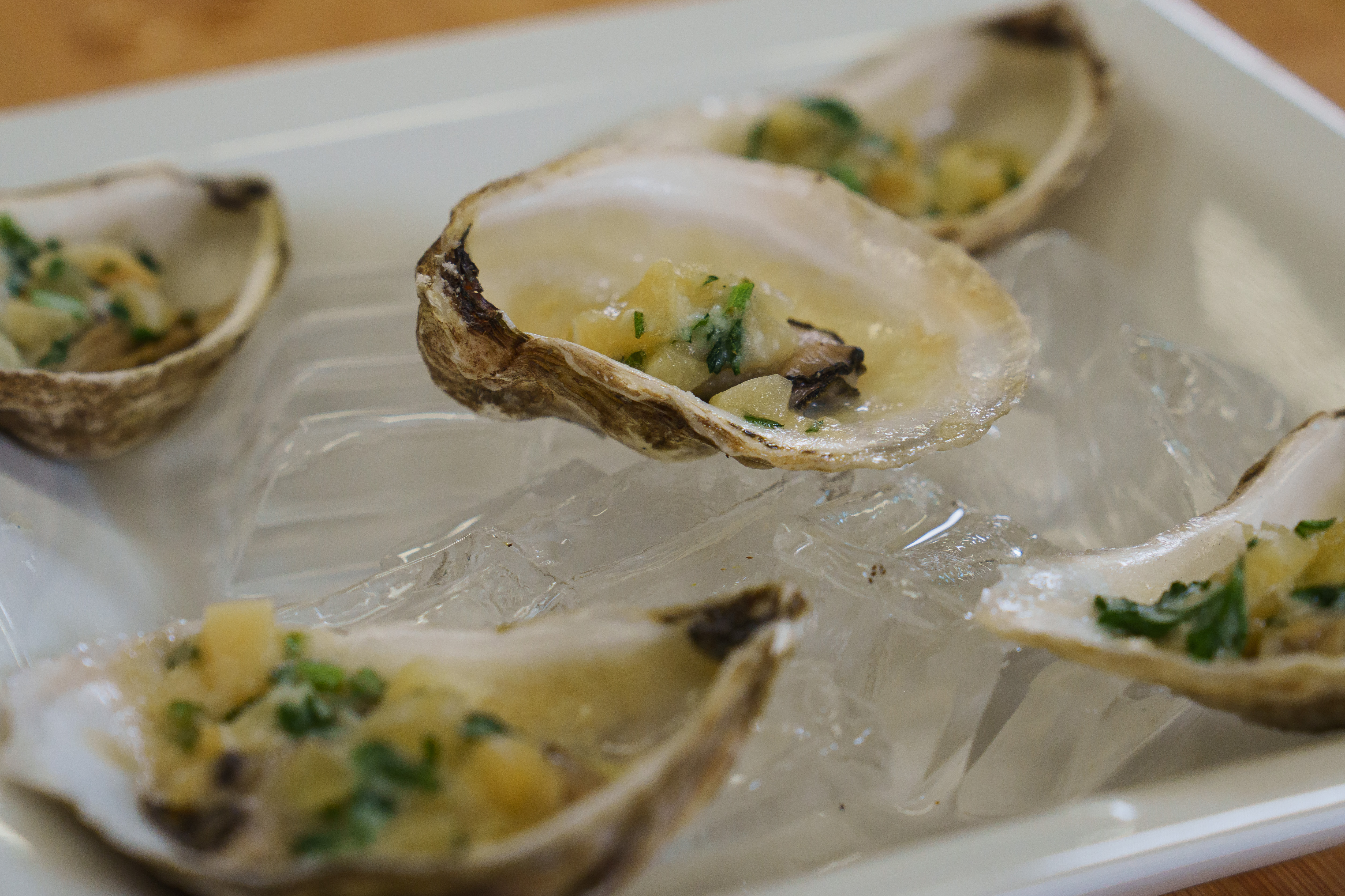 Grilled oysters on a plate with ice.