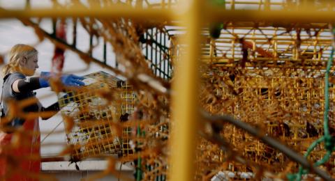 Ella Byrne moves a lobster trap on the back of a boat, seen through the wire grid of another yellow lobster trap