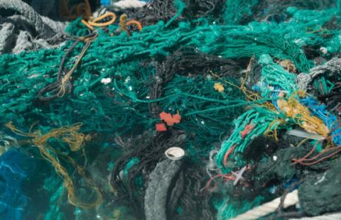 pile of marine debris with green, blue, and yellow tangled rope