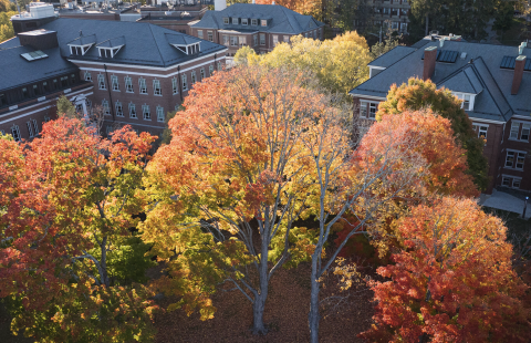 UNH campus fall foliage aerial