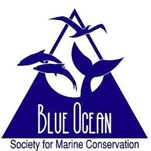 Blue Ocean Society for Marine Conservation logo