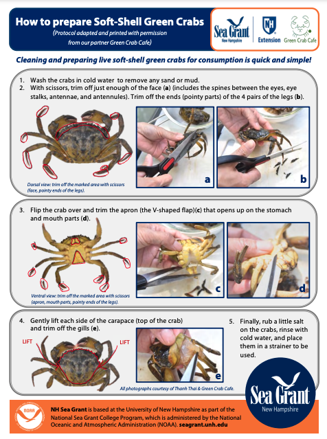 preparing soft-shell green crab