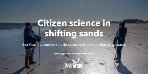Citizen science in shifting sands