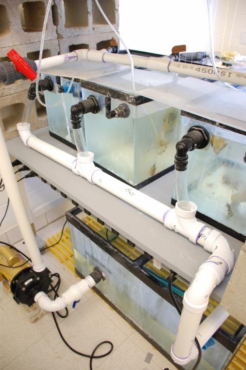 A system created in the lab with boxes and pvc