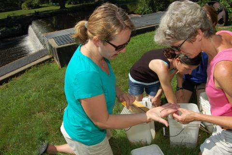 people looking at eels 