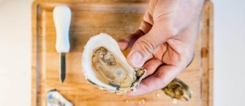 Holding oyster over cutting board