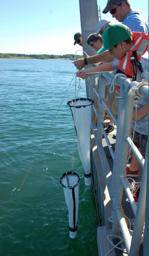 Bringing down plankton nets