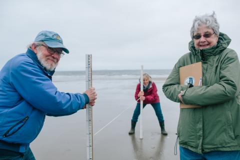 Coastal research volunteers beach profiling