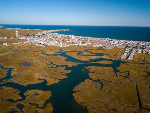 Drone shot of marshland near the coast