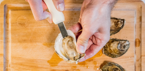 Shucking an oyster