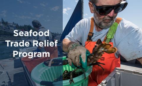 Seafood Trade Relief Program with a man holding a lobster