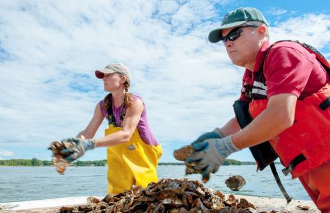 A man and a woman wearing gloves and fishing gear move oysters on a boat