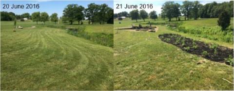 Before and after photographs of new streambank buffer restoration at the Sagamore Golf Club.