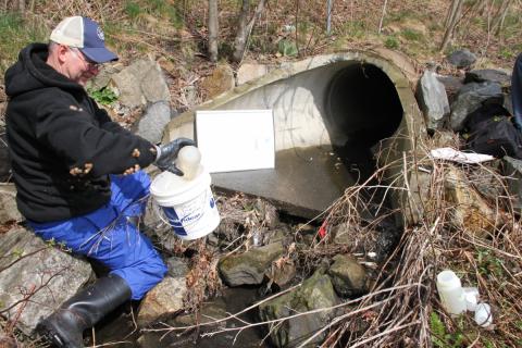 Photograph of a volunteer collecting water quality samples near a culvert.