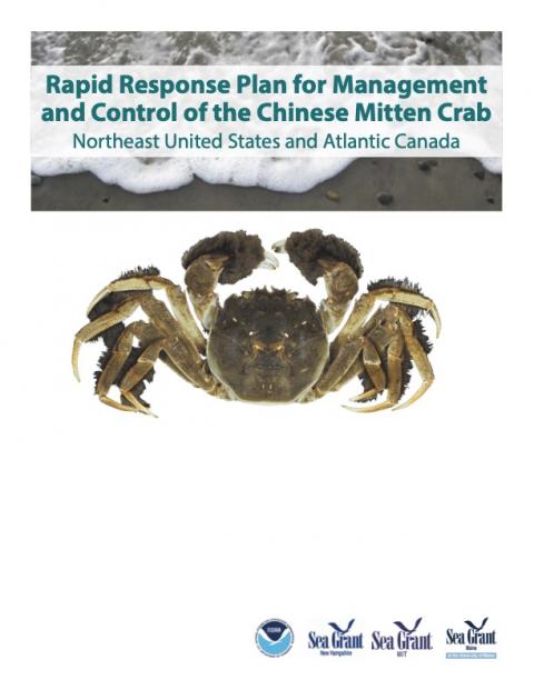 Gloves off as scientists go to war on mitten crab, Environment