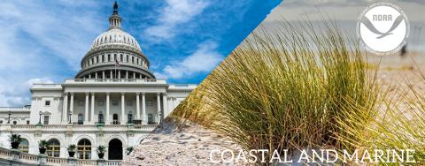 Image of the capitol building and dune grass