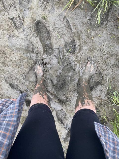 A photo looking down at bare feet in deep mud, with mud covering the legs up to the knee