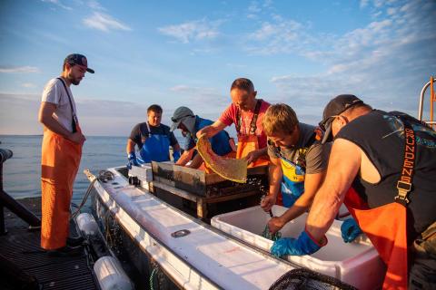 Researchers and local partners work to process steelhead trout on a boat moored to the Aquafort