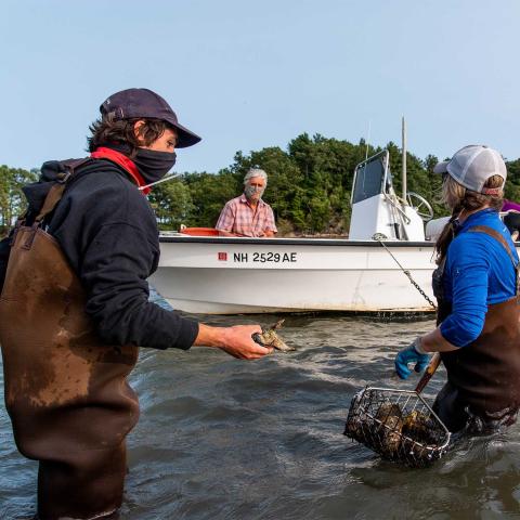 A researcher holding an oyster stands in the water next to farmer Krystin Ward, talking to researcher Steve Jones sitting behind them in a boat