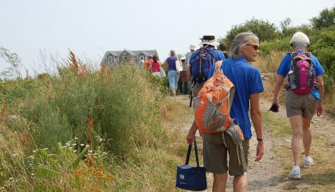 Volunteers in blue shirts walking on an uphill trail