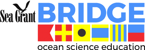 Sea Grant and BRIDGE logo