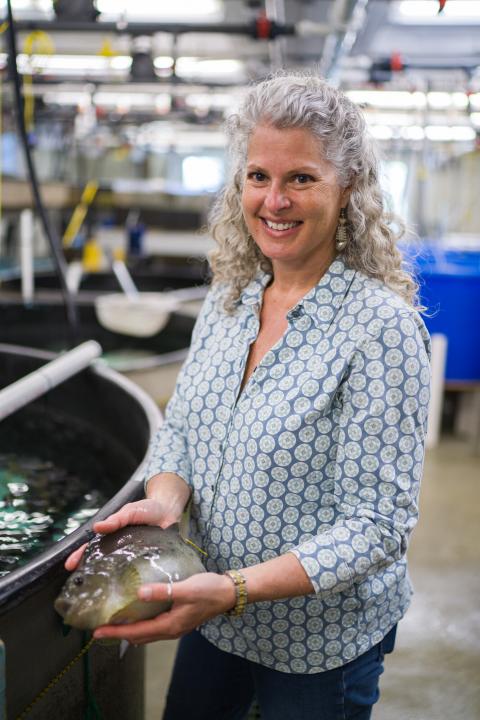 Elizabeth Fairchild holding an adult lumpfish in a laboratory