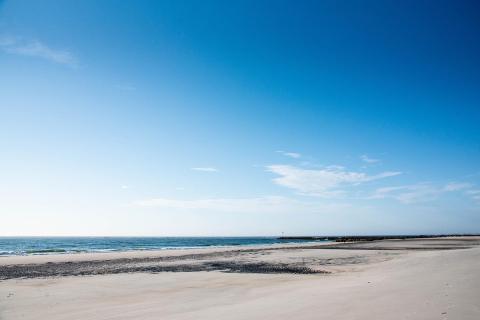 A photo of a sandy beach and ocean on a sunny day