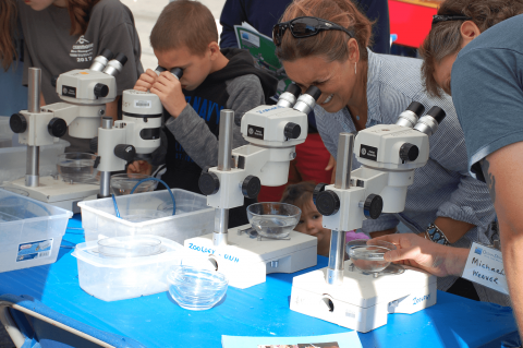 a mom and her son look through dissecting microscopes on a lab table
