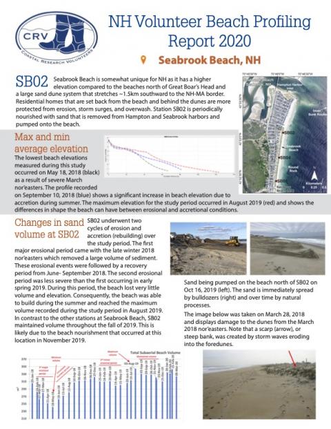 A screenshot of the 2020 Seabrook Beach Profiling Report