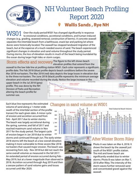 A screenshot of the 2020 Wallis Sands Beach profiling report