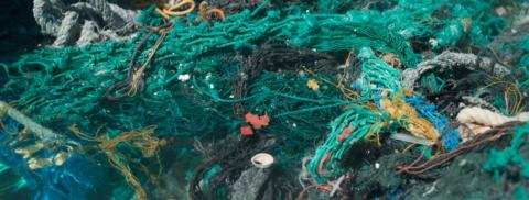 pile of marine debris with green, blue, and yellow tangled rope