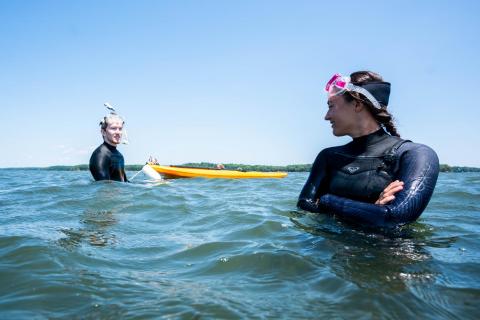 Two researchers in wetsuits and masks with a paddle board in chest-deep deep water