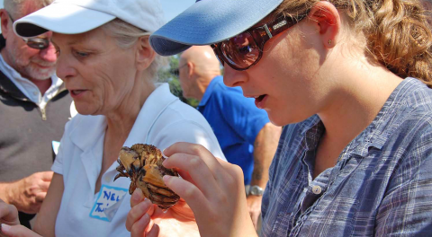 Two women wearing baseball caps inspecting a crab