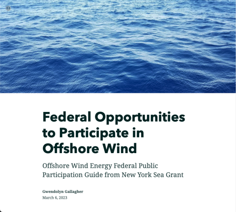 A screenshot of the Federal Opportunities to Participate in Offshore Wind guide, by Gwendolyn Gallagher from New York Sea Grant, with a photo of blue water