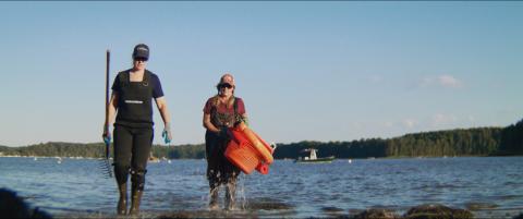 Laura Brown and Krystin Ward walk out of the ocean wearing waders, carrying an oyster rake and an orange basket 
