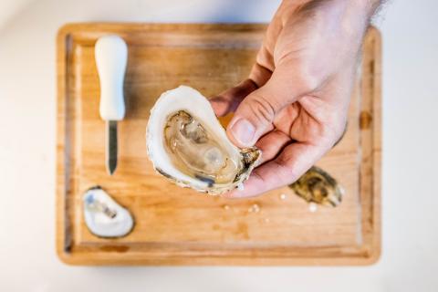 A freshly shucked oyster being held up over a cutting board. 