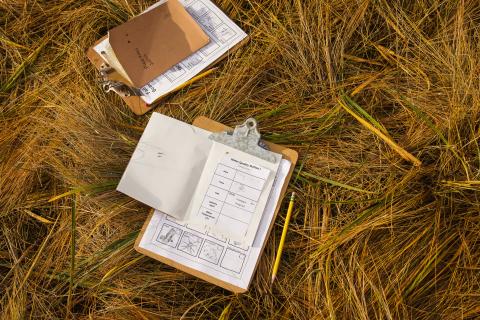 Two field notebooks lie in the salt marsh. 