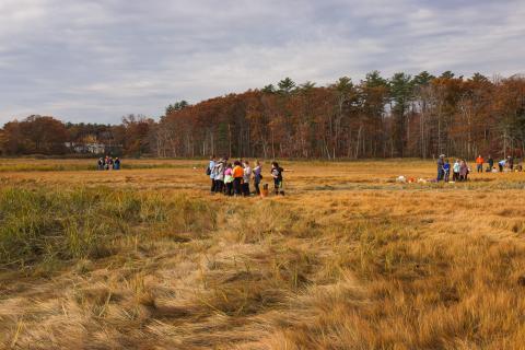 The group splits up into different field stations across the salt marsh. 