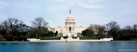 Capitol Hill building in Washington D.C. Adobe Stock Image 107027042