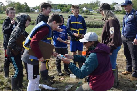 Students examine estuary species collected during sampling. 