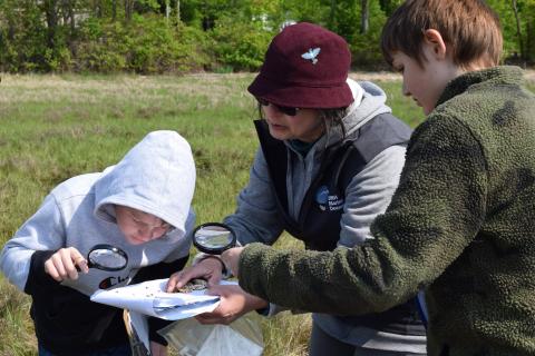 Students use magnifying glasses to get a closer look at their field sample. 