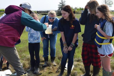 Students are excited as they discover what species live in their local estuary habitat. 