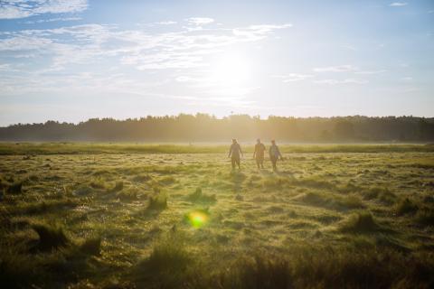 three people walking across a salt marsh holding research equipment