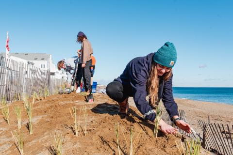Two individuals planting dunes at Salisbury Beach.