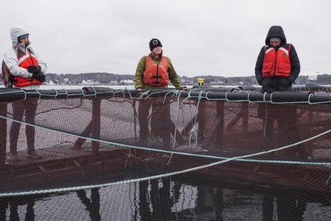 A few participants look into the AquaFort net pen at the steelhead trout. 