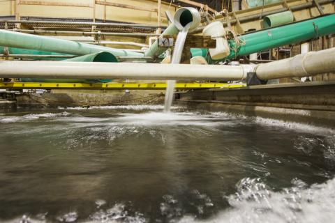 A long exposure photo of water moving around an aquaculture system. 