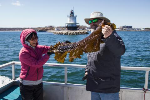 Two participants hold up a large piece of kelp, with a lighthouse in the background. 